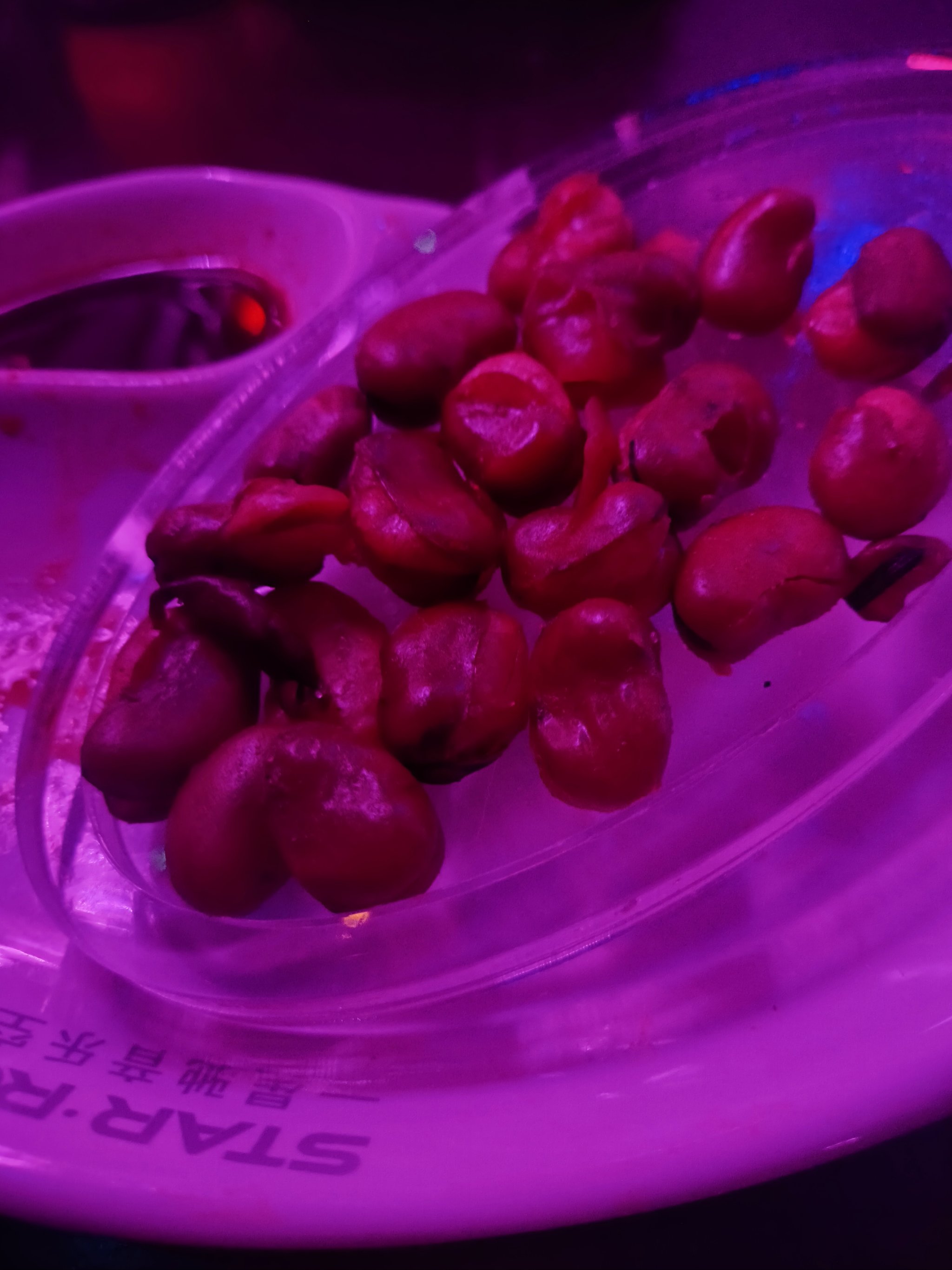 衡阳商务ktv模式最佳选择-蒸湘区ktv预定